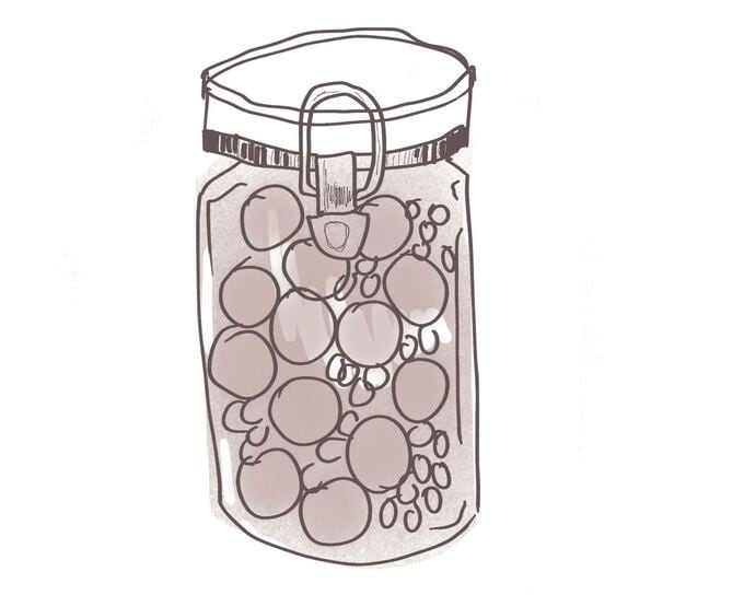 三條さんの梅酒イラスト