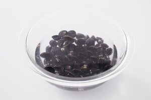 氷漬けでダメージを防げば臭みも変色もなし!