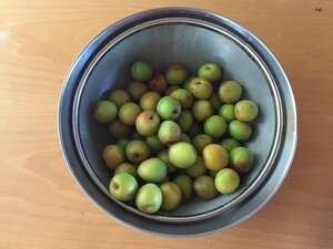 梅の鮮度がいいうちに開始!