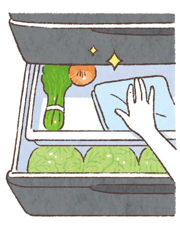野菜室イラスト