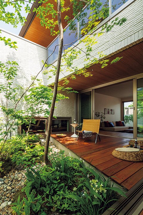 小さな庭に自然をつくる「5本の樹」計画