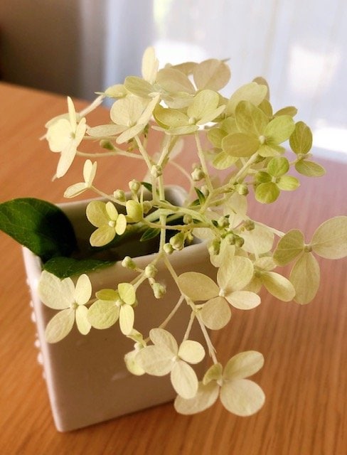 花瓶に花を生けた様子