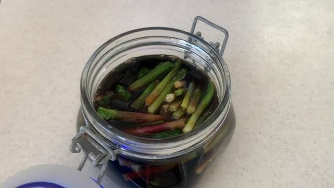 容器に行者ニンニク