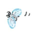 イラストコバエ