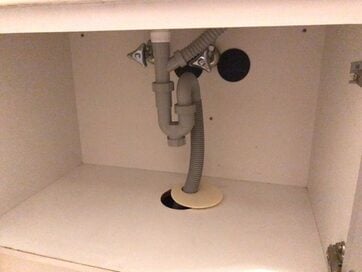 ゴキブリやアリが密室でも侵入できるワケは？家庭でやるべき対策を公開