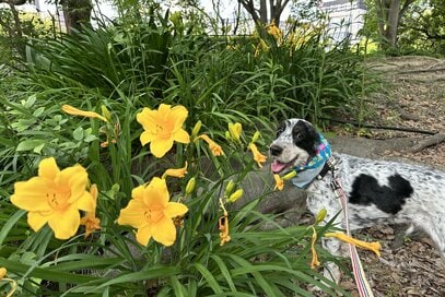 60代、心地よく過ごすための「1日15分の習慣」。ひとり時間を楽しみ、SNSも積極的に活用