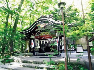 金運アップが期待できる神社3選。お守りやおみくじもチェック