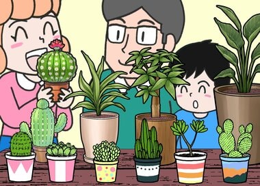 おうちに置く観葉植物を新調。何かが違う？5つ見つけたらエラい間違い探し