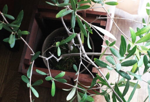 プランターカバー