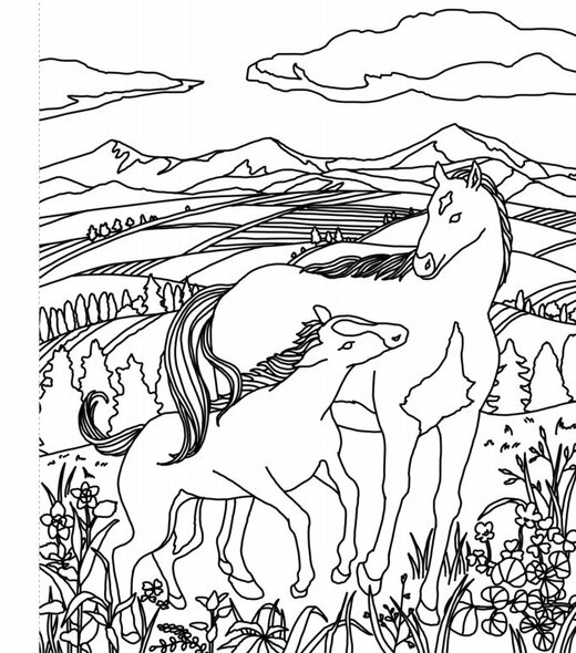 馬のぬり絵 画/藤田有紀