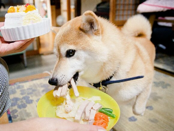 4きれを一気にほおばる。わんぱく