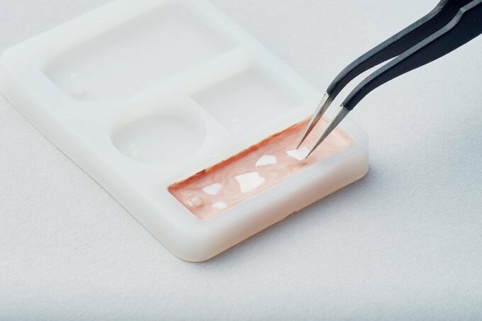 シェルパーツをランダムにのせる