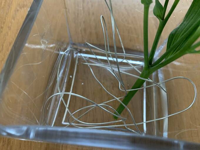 針金(ワイヤー)を花器の大きさに適当に丸めて入れる