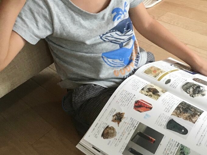 図鑑を読む子供