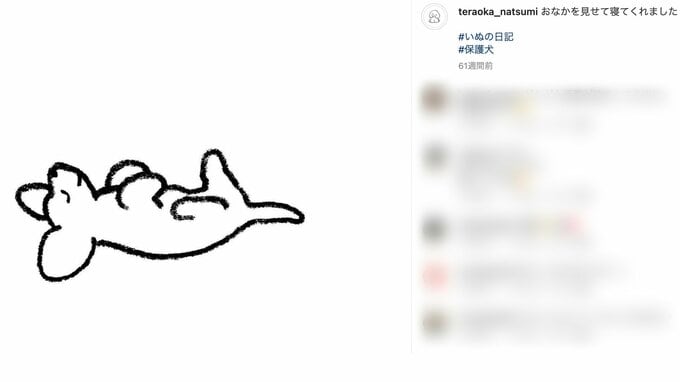 てらおかさんのSNS