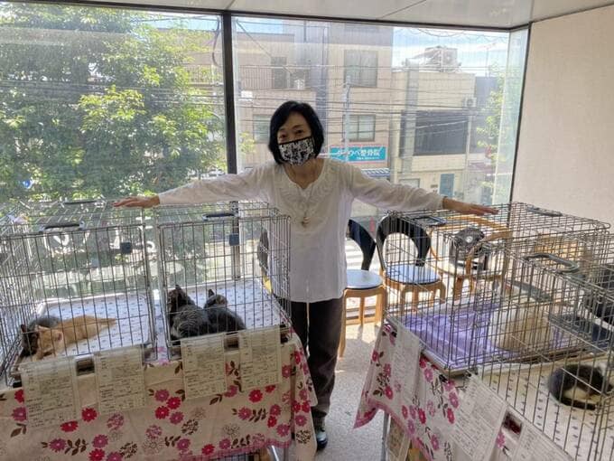 女性とゲージに入っている猫