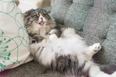 家にこもってテレビを見るとき注意すべき4つのNG習慣