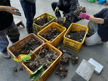 仲間との会話で得られた、幸せに生きるコツ。意外とあなどれない「言葉の力」