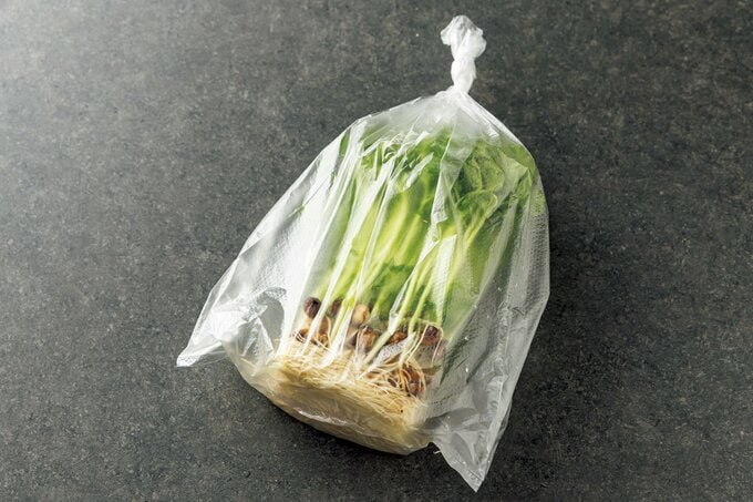 ポリ袋に入れた豆苗