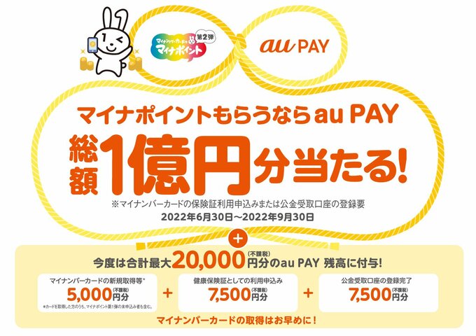 マイナ画像