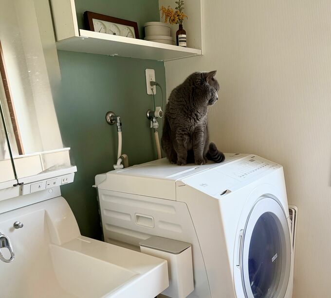 洗濯機回りの地味だけど最強な習慣3つ