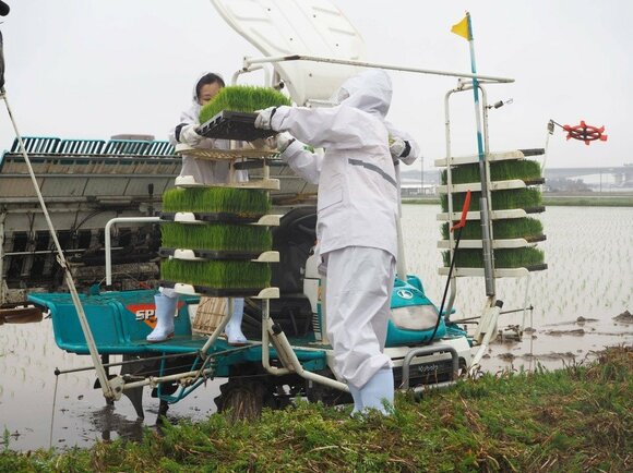 苗を設置するのに、重労働。なかなか重いです。