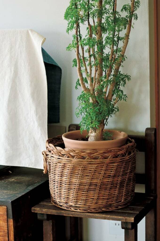 植木の鉢カバー