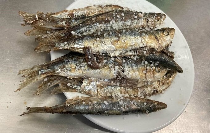 サルデイン