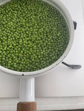 ピリッとおいしい山椒のしょうゆ漬け。漬けたら半年以上楽しめる