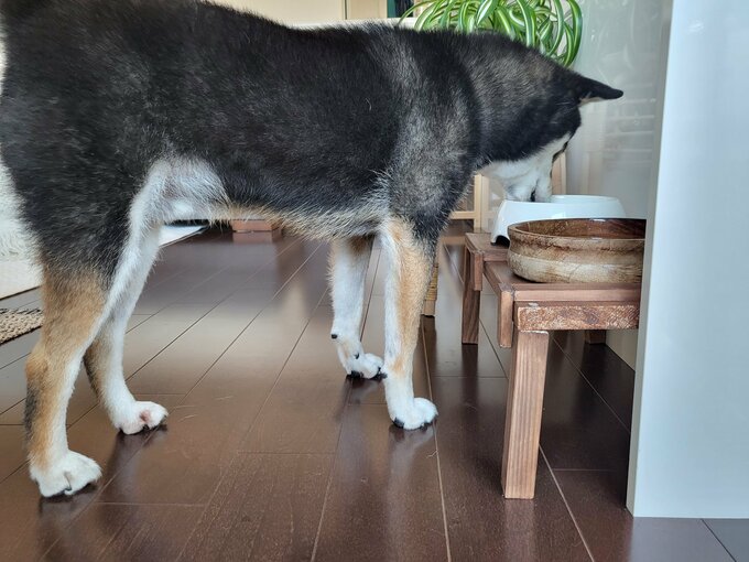 テーブルの高さ