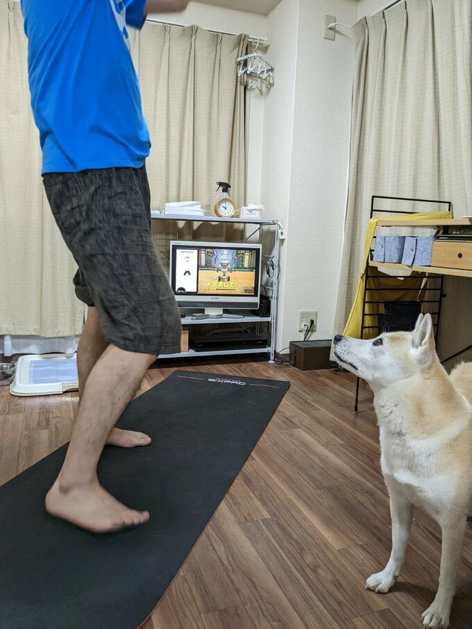 夫を見つめるふうちゃん