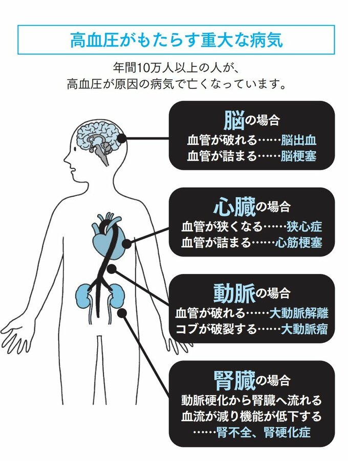 『わたしの血圧ノート2024』（扶桑社刊）内の解説イラスト