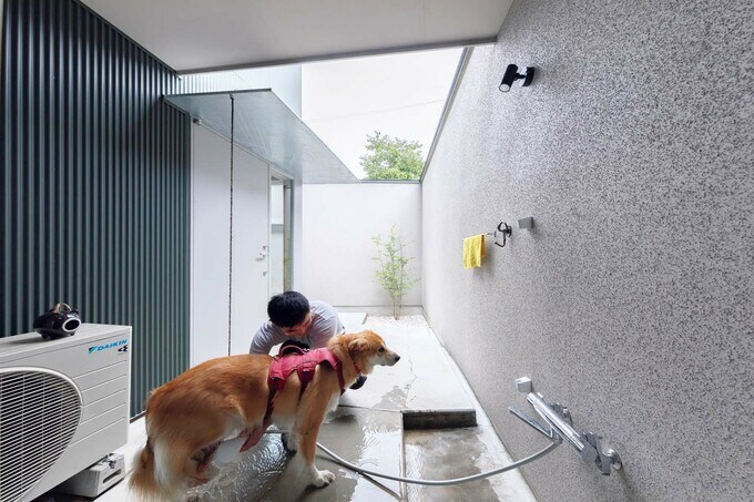犬専用の足洗い場