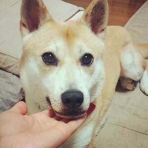 ふうちゃんの「じ～～っ」