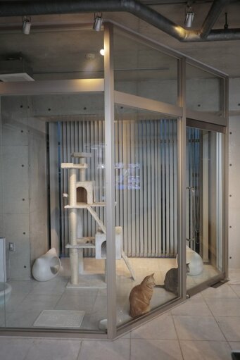 すまいの話、しませんか。猫専用ガラス張りのブース