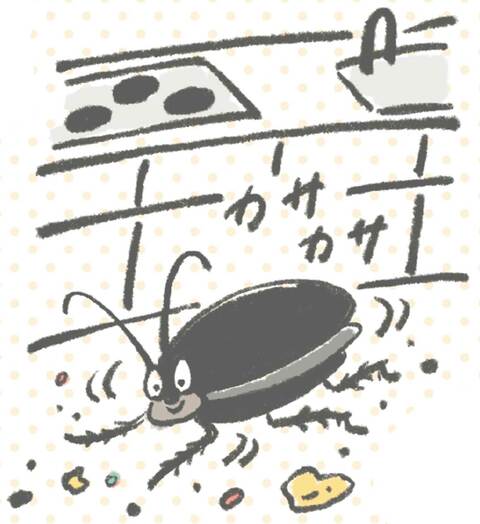 キッチンのゴキブリ