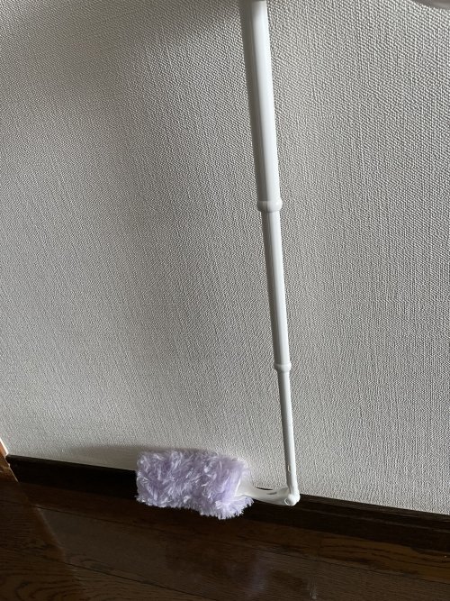 見落としがちなフローリングの巾木のホコリ