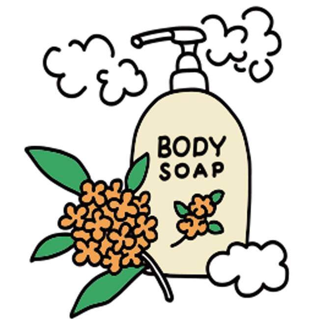 金木製のイラスト