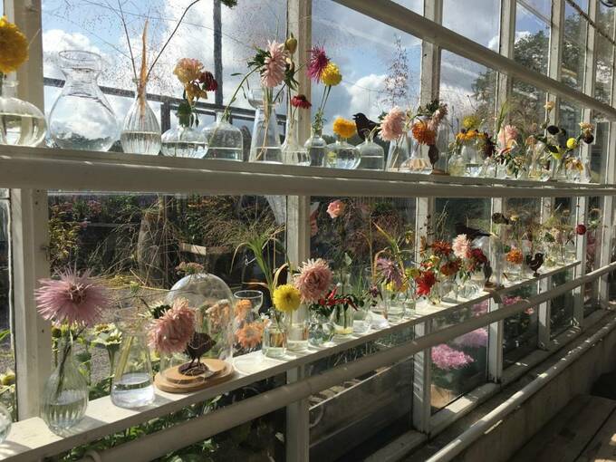 ガラス花瓶が並んだ窓辺