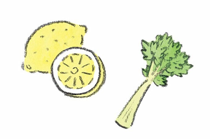 レモンとセロリのイラスト