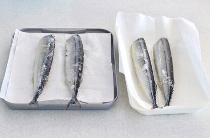 ウワサの「解凍プレート」の実力がすごい！冷凍サンマでの実験結果に大満足