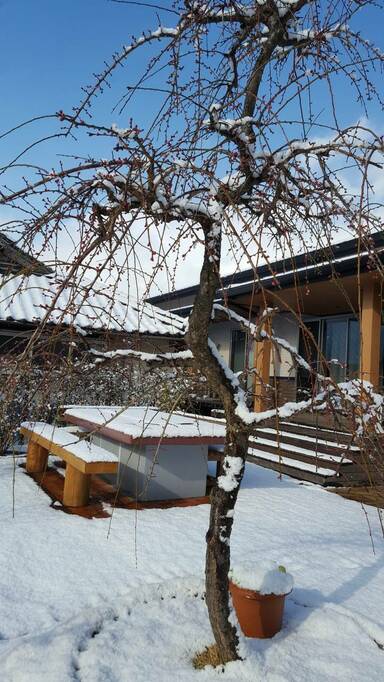 雪が積もったバーベキュー台