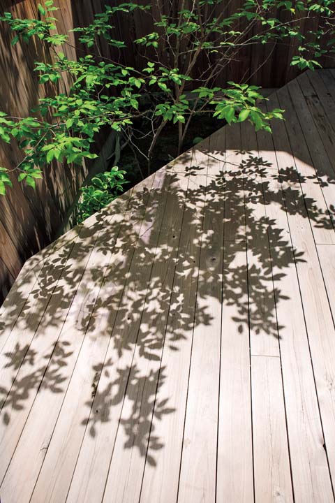 ウッドデッキの木陰