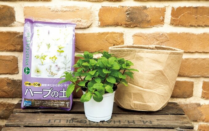 ハーブの土など