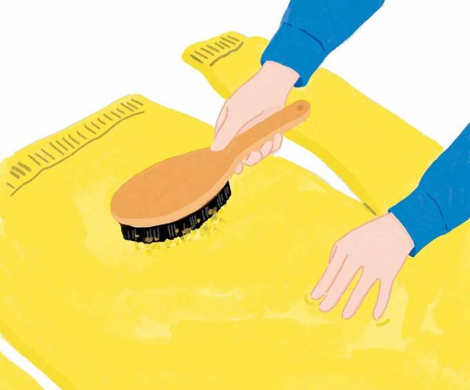 ブラシで毛並みを優しく整える