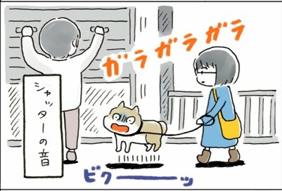 不意な音にわんこがびっくり！でもじつは人間も…