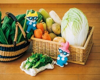 年200万円貯蓄家庭の食費事情。野菜は宅配、調味料は大袋買い