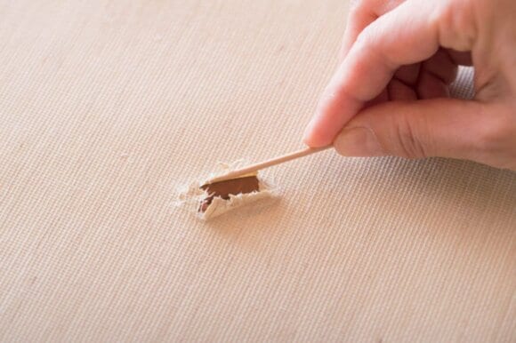 楊枝で破れた部分を引っぱり出す