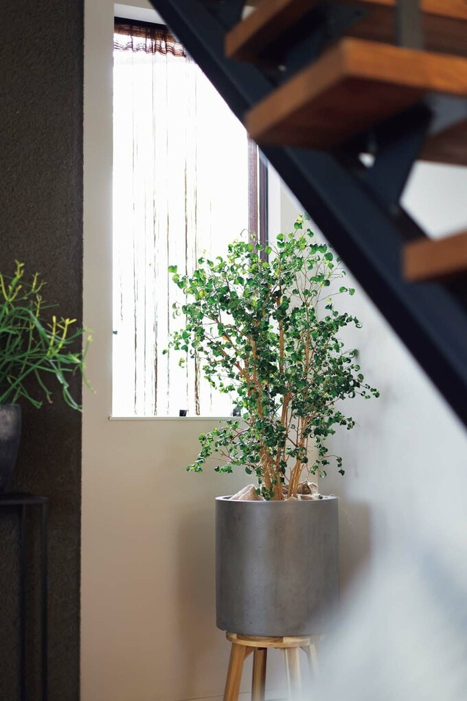 階段下の小さな開口部