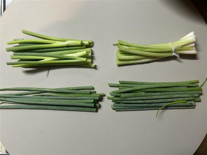 万能ネギ 4等分
